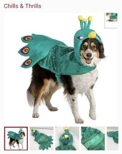 Dog Halloween Costume, Peacock, Size L