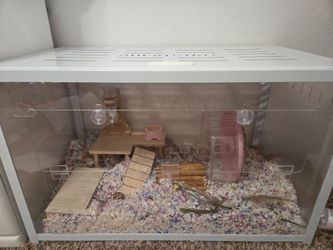Hamster cage set up