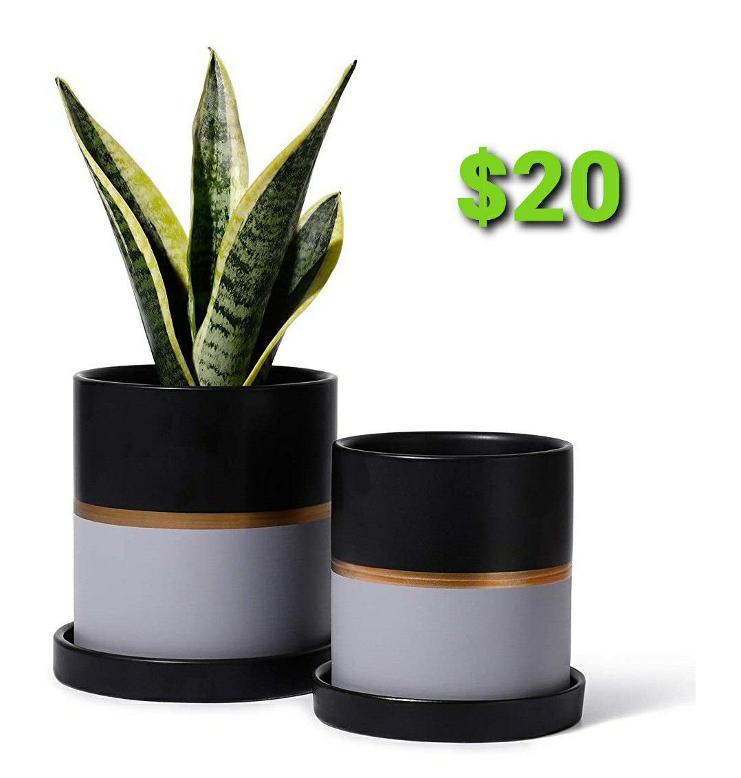 Cylinder Ceramic Plant Pots ( Set of 2)