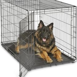 Cage Dog 