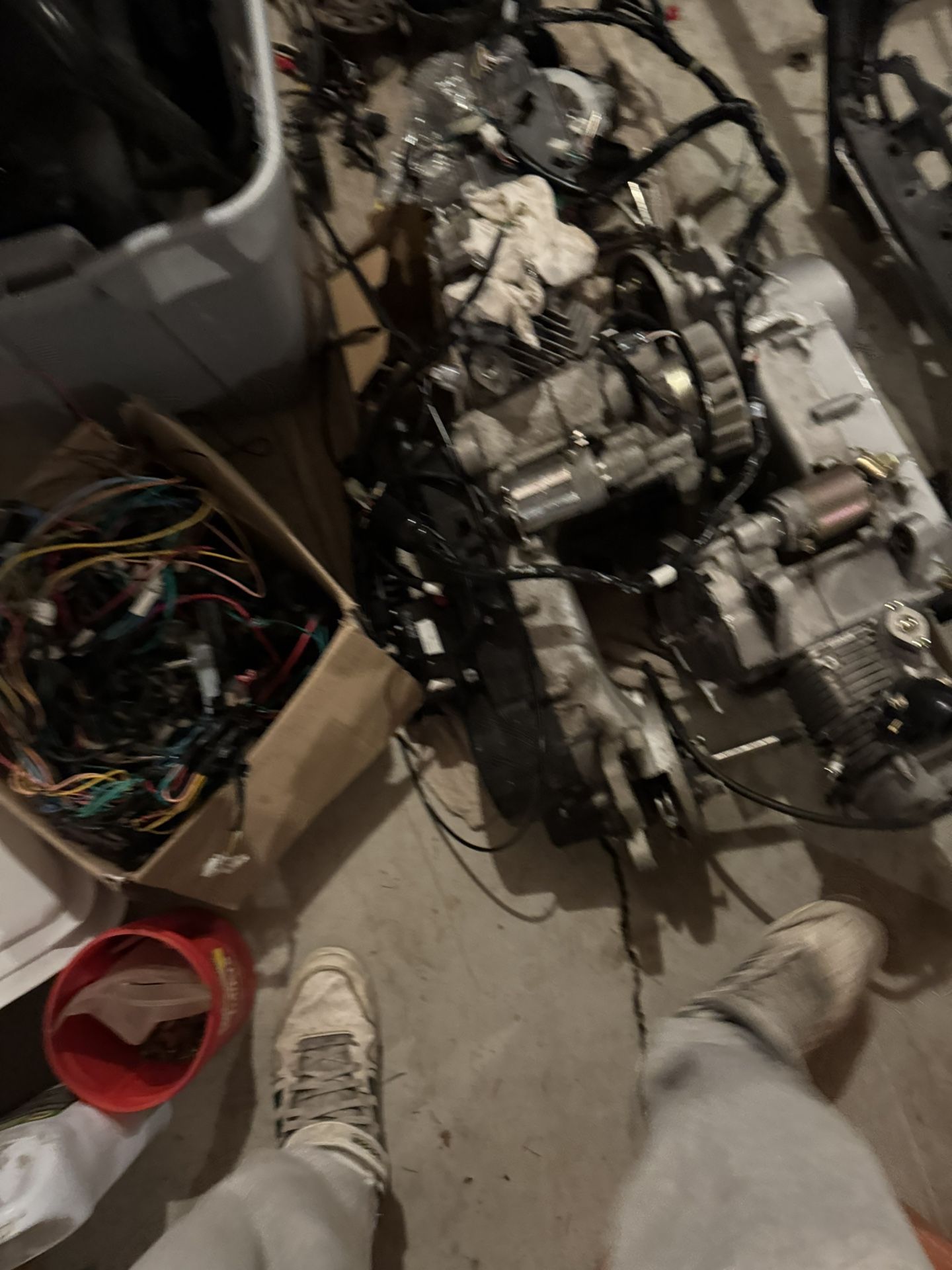 Trades 2005 Honda Ruckus