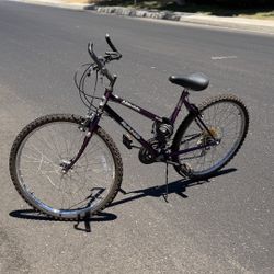 Rand L.A. Cruisin 18 Speed Mountain Bike 