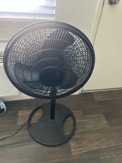 Fan