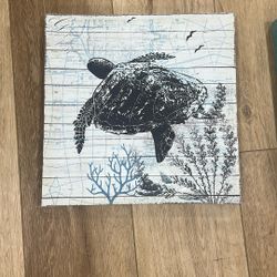 turtle canvas frame 16x16