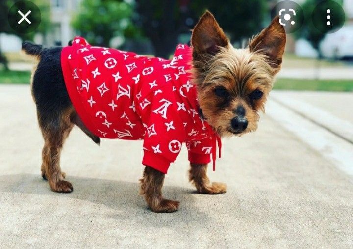 2/$50 Dog Hoodie XS-2XL