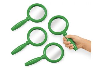 Lakeshore Mirror Set Of 4