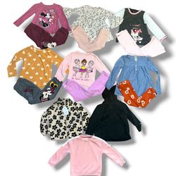15pc Toddler Girl Wardrobe Lot | 4T