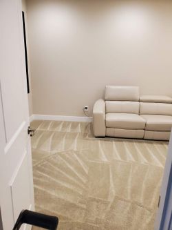 Sofa And Carpet Cleaner 