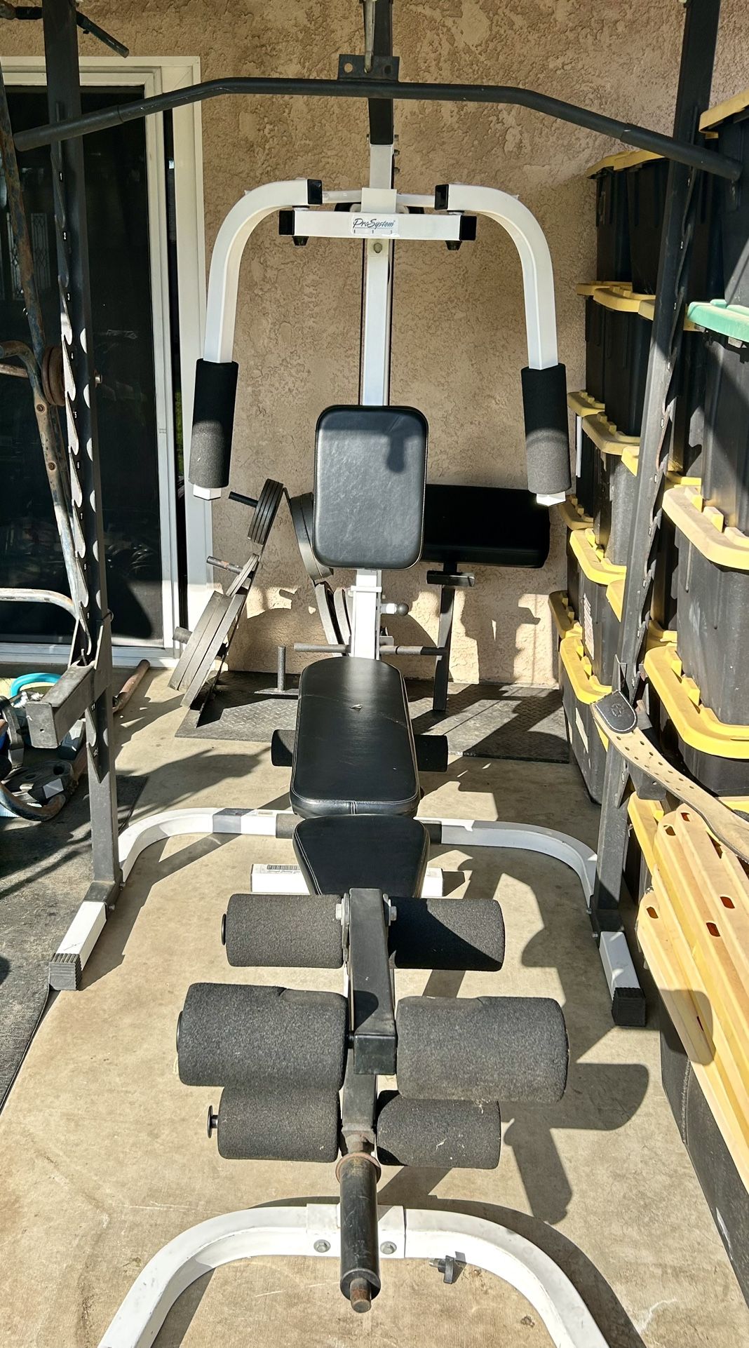 bench in gym equipment