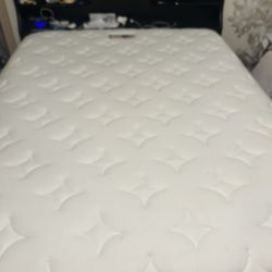  Sleep Deeper with BedStory Premium Hybrid Mattress