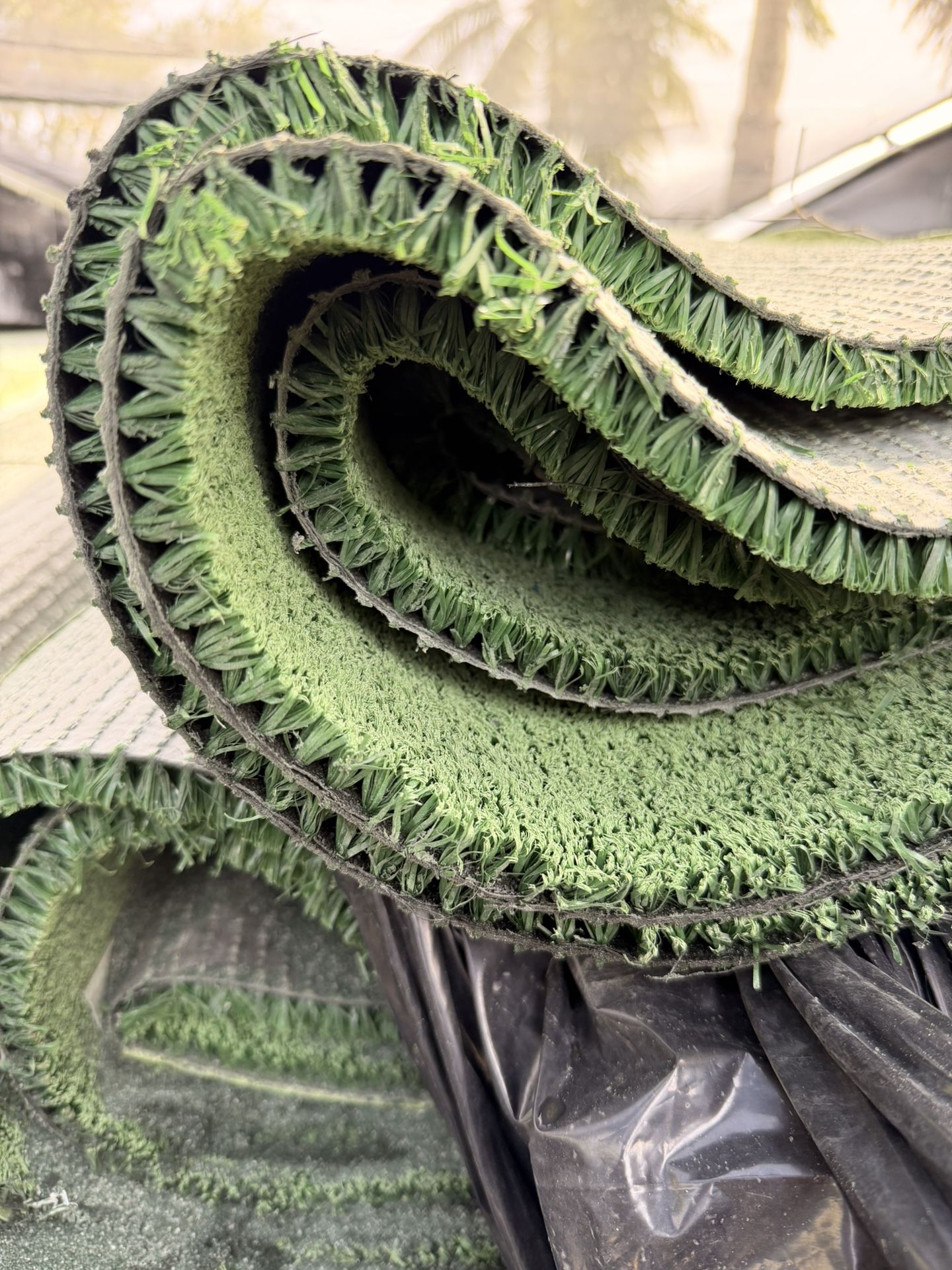 Turf Grass Rolls