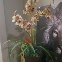 Fake Orchid