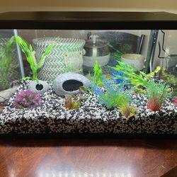 10 Gal Fish Tank with Accessories 