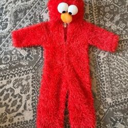Sesame Street costume 3-12 Months 