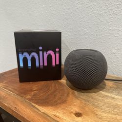 Home Pod Mini