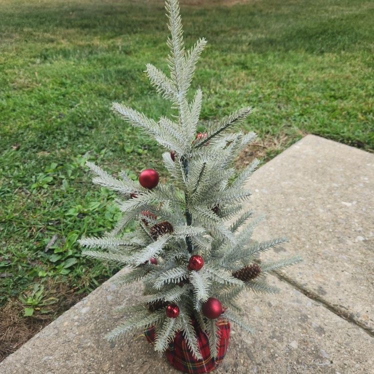 Christmas Tree ๐