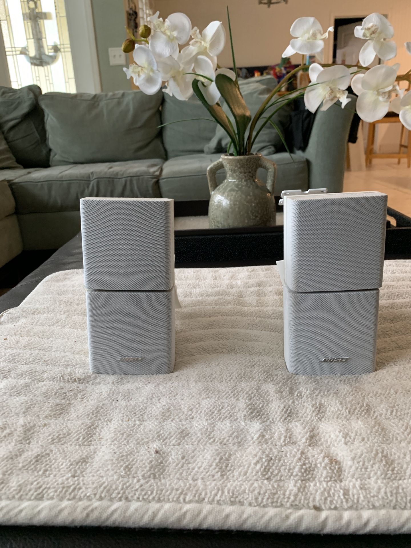 Bose Accoustimass 10 speakers with wall or ceiling mount.