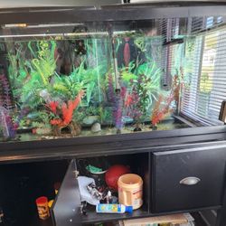 Fish Tank