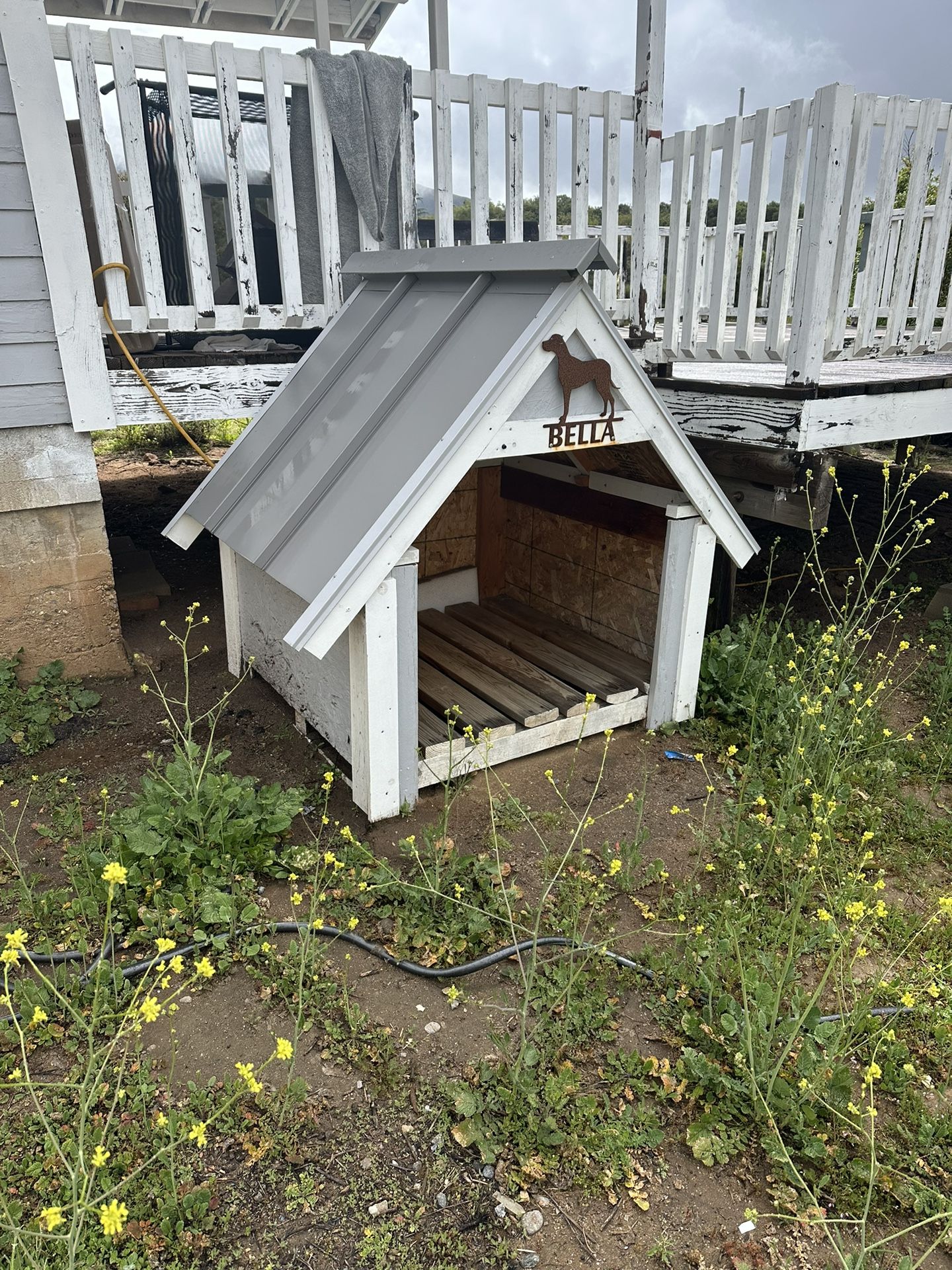 Dog House 