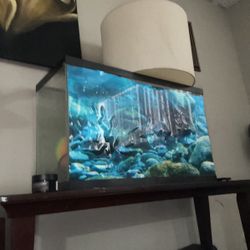 Fish tank