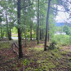Wooded Land For Sale 2 ACRES OFF CHEROKEE RD JOHNSON CITY TN