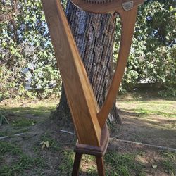 25 String Triplett Harp From 1988 FIRM ON PRICE