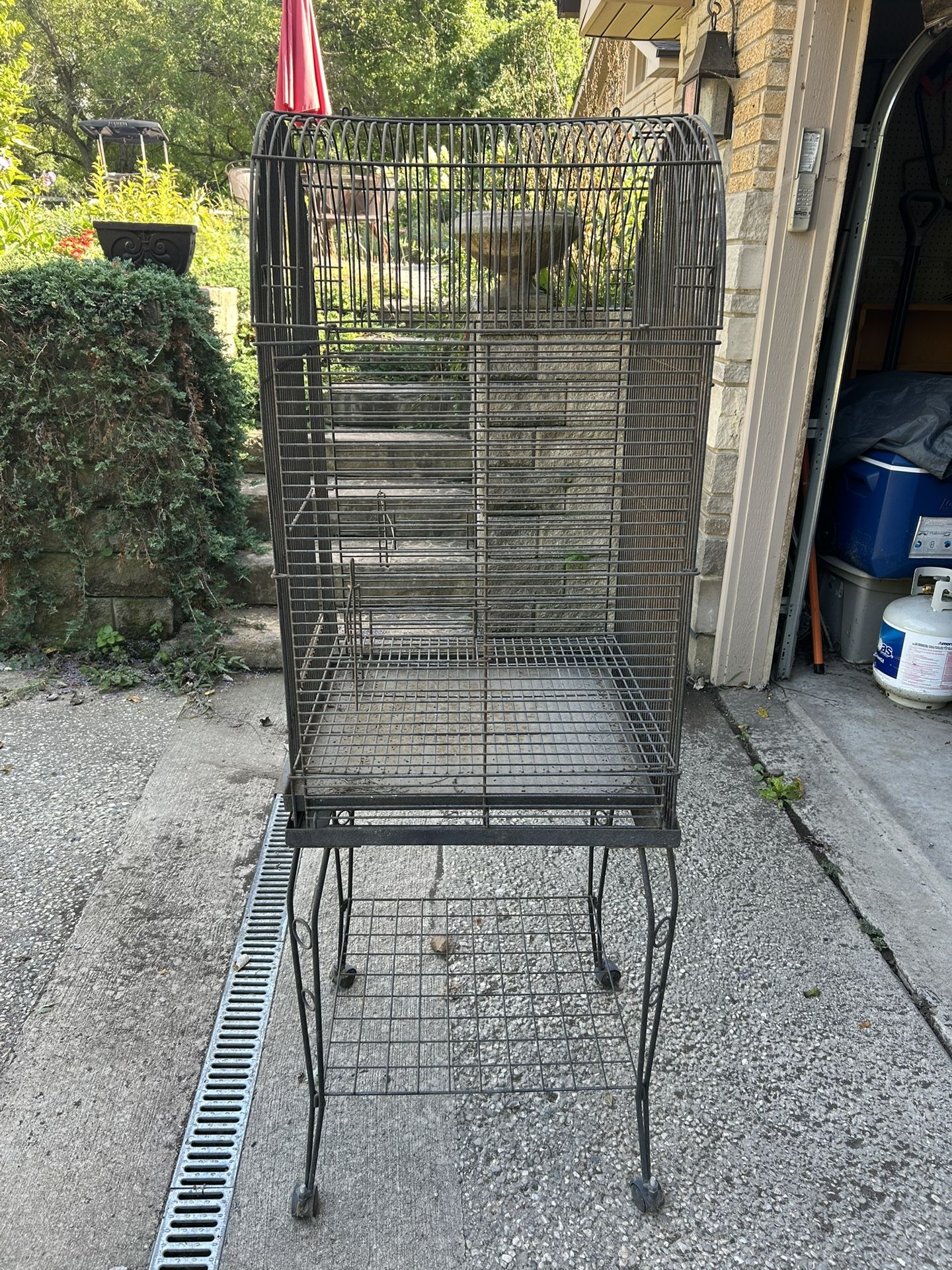 Steel Bird Cage