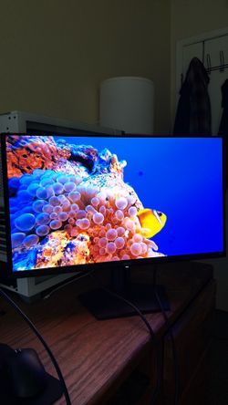 OLED monitor 1440p 240hz