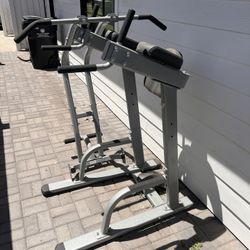 Dip & Pull Up Machine