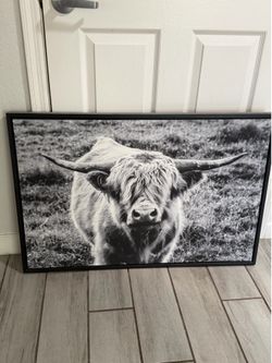 Big cow frame