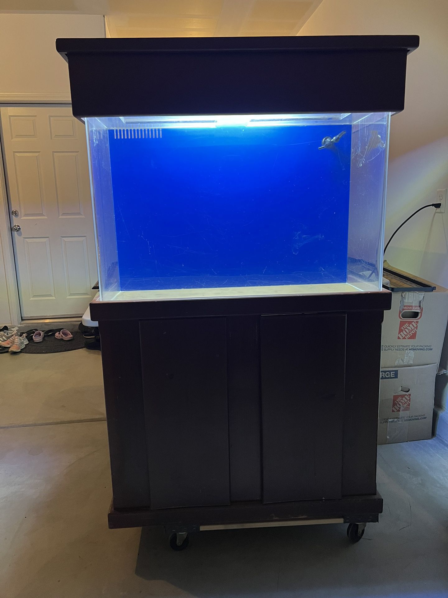 65 Gallon Acrylic  Aquarium All-In-One