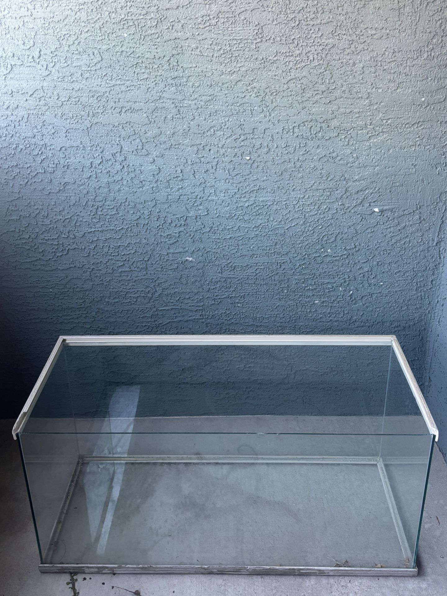 40 Gallon Breeder Tank