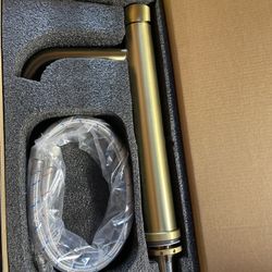 Brushed Gold Faucet