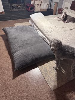 Huge Bean Bag