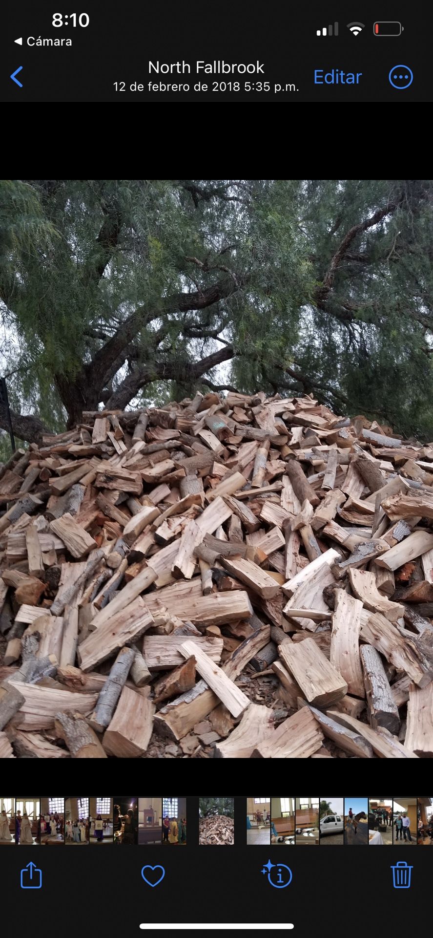 Firewood