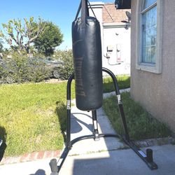 Everlast Stand And Punching Bag