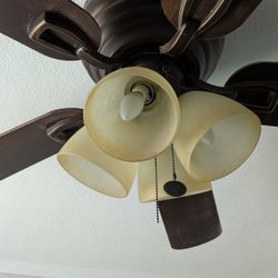 Hampton Bay 52-in ceiling fan