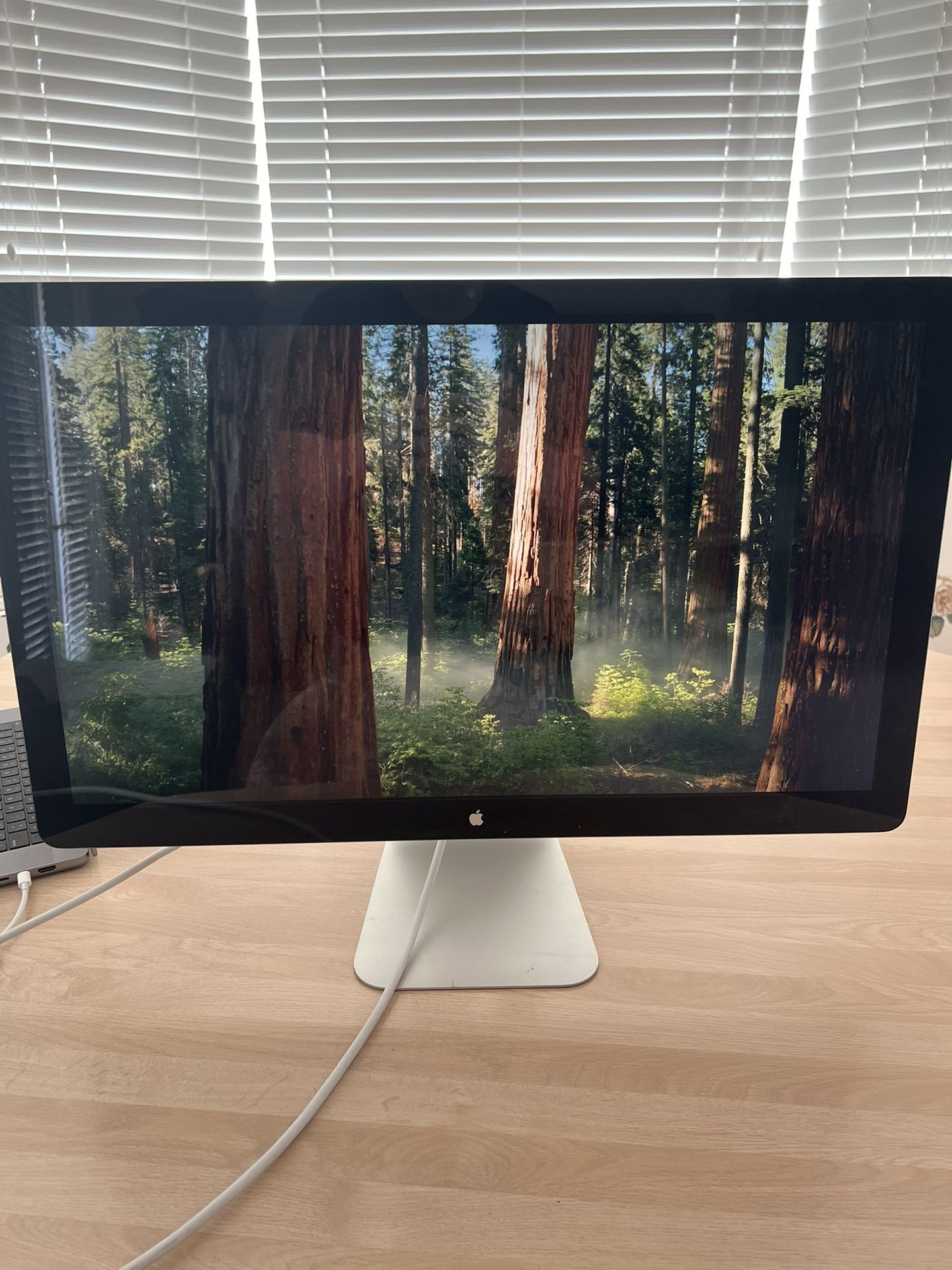 Apple Thunderbolt Display 27β β Matching Pair + USB-C Adapter (Boca Raton Area)