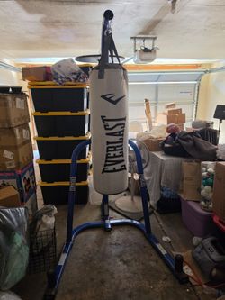 Everlast Dual Station Heavy Bag + Speed Bag