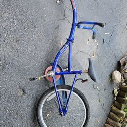 Training Bicycle 