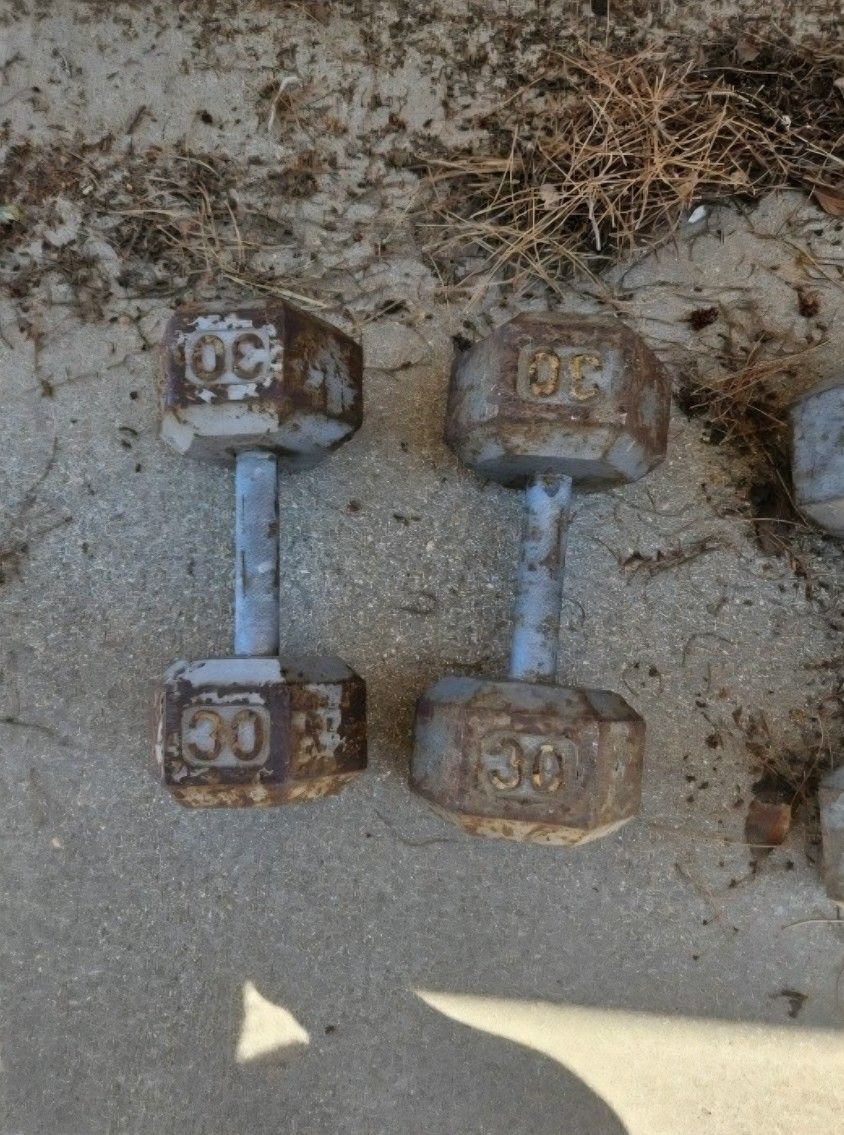 30 Pound Cast Iron Weights