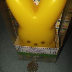 Brand New  PEEPS Light Up Bluetooth Speaker $7 Firm 