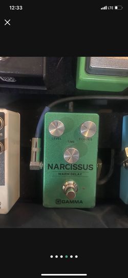 Narcissus Warm Delay