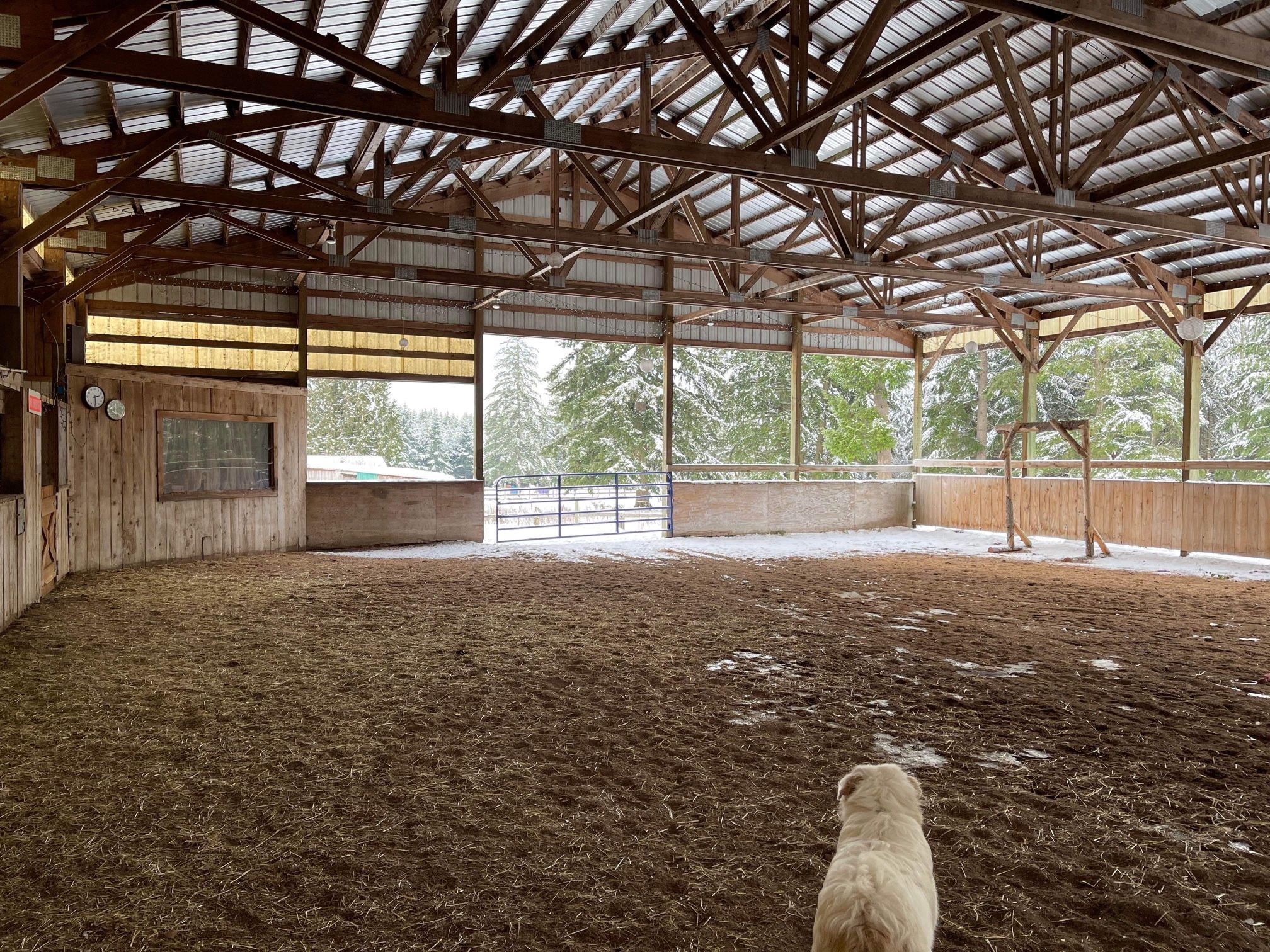 Horse Boarding