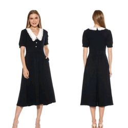 Alexia Admor Loli Peter-Pan Collar Dress Size 6 