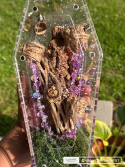Jumping spider enclosure