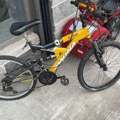 Magna Bicycle 