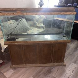 55 Gallon Fish Tank And Stand 