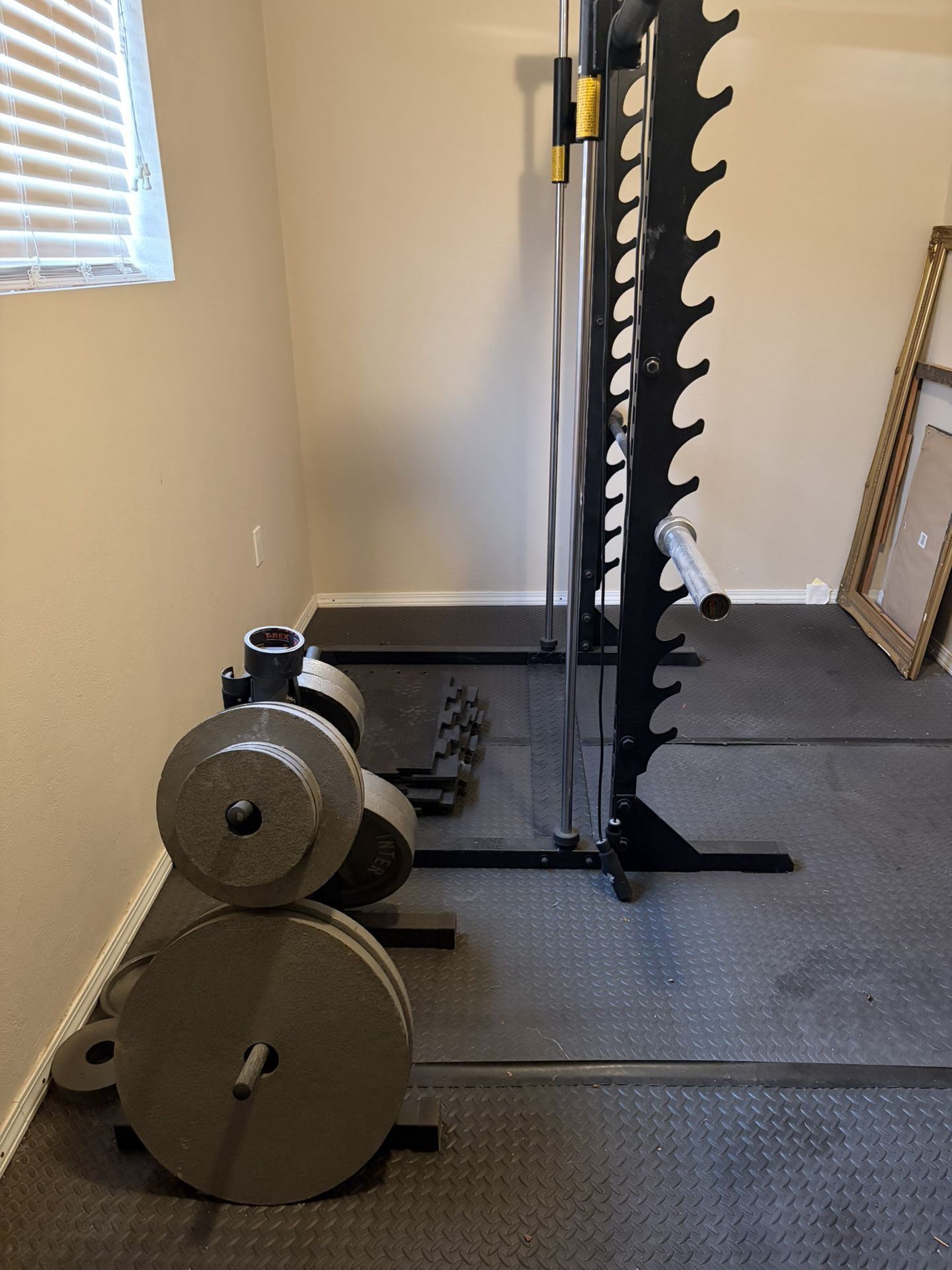 Gym Equipment. Smith Machine.