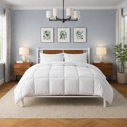 White Metal Full Size Bed Frame With Mattress